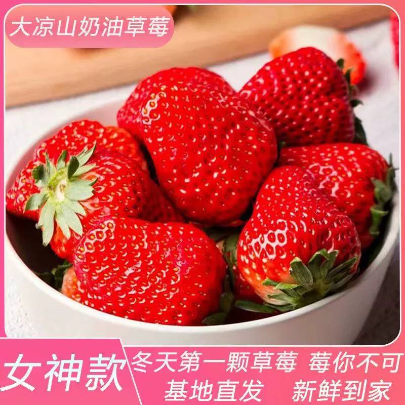 草莓3斤新鲜水果当季